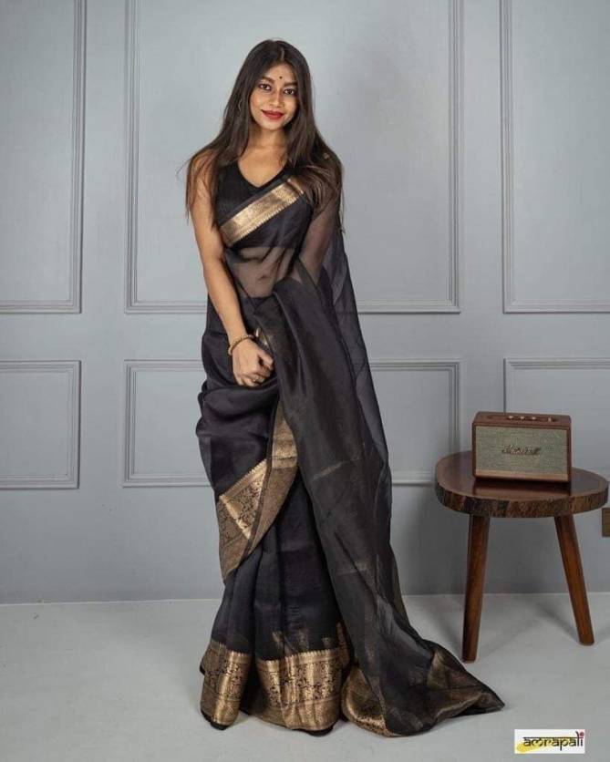 Saree Organza fin avec bordure antique – noir